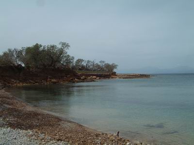 DSCF0102.JPG